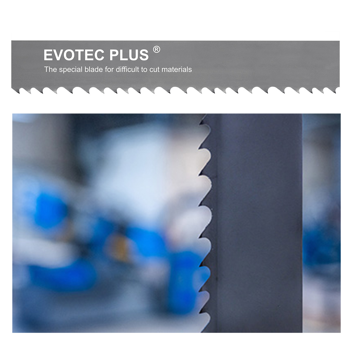 EVOTEC PLUS
